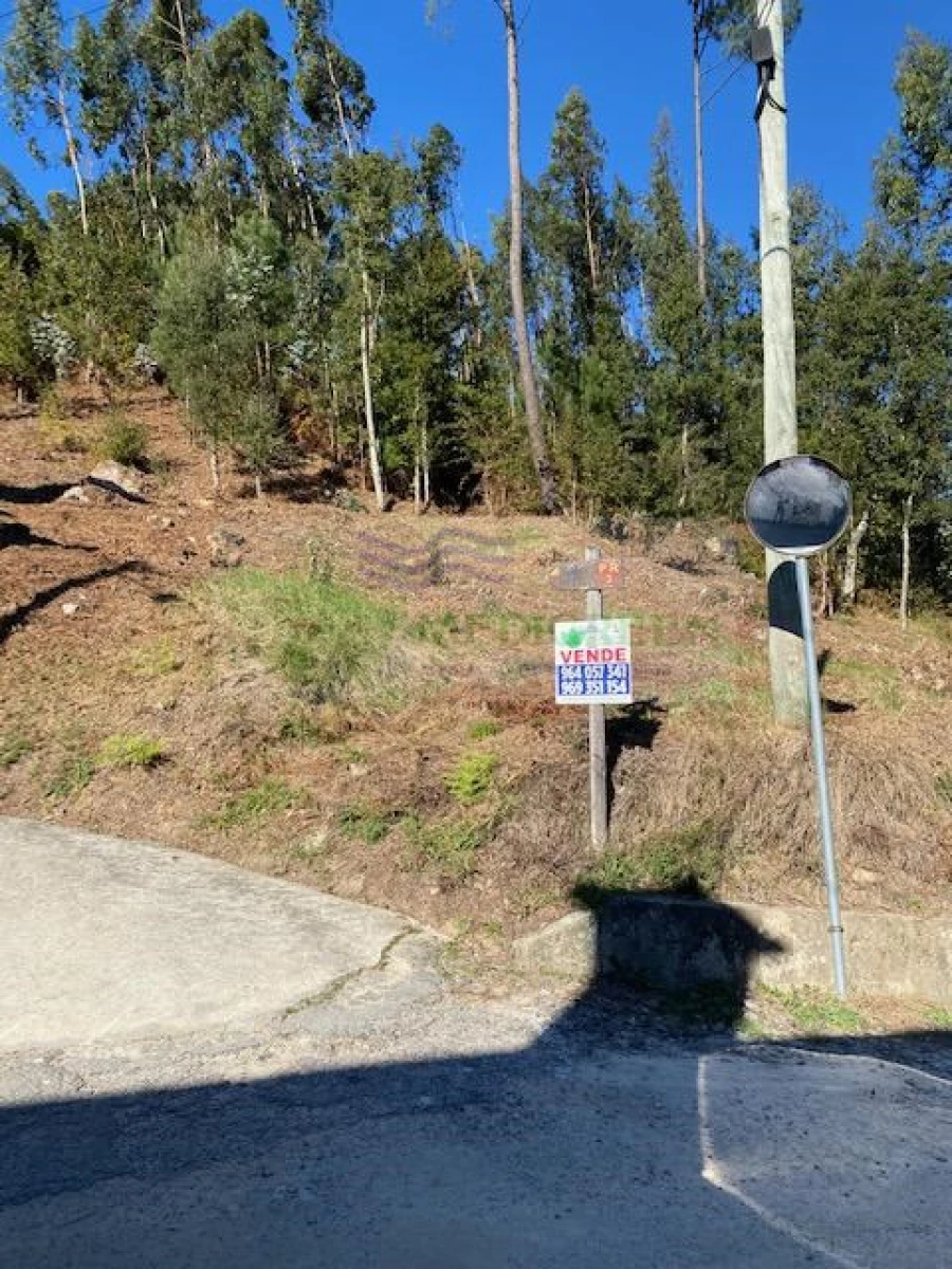 Terreno para Venda em Pessegueiro do Vouga Foto 4