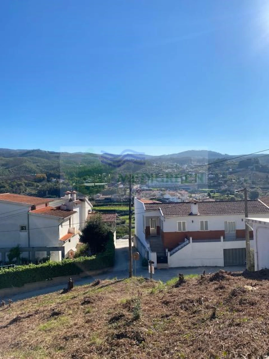 Terreno para Venda em Pessegueiro do Vouga Foto 5