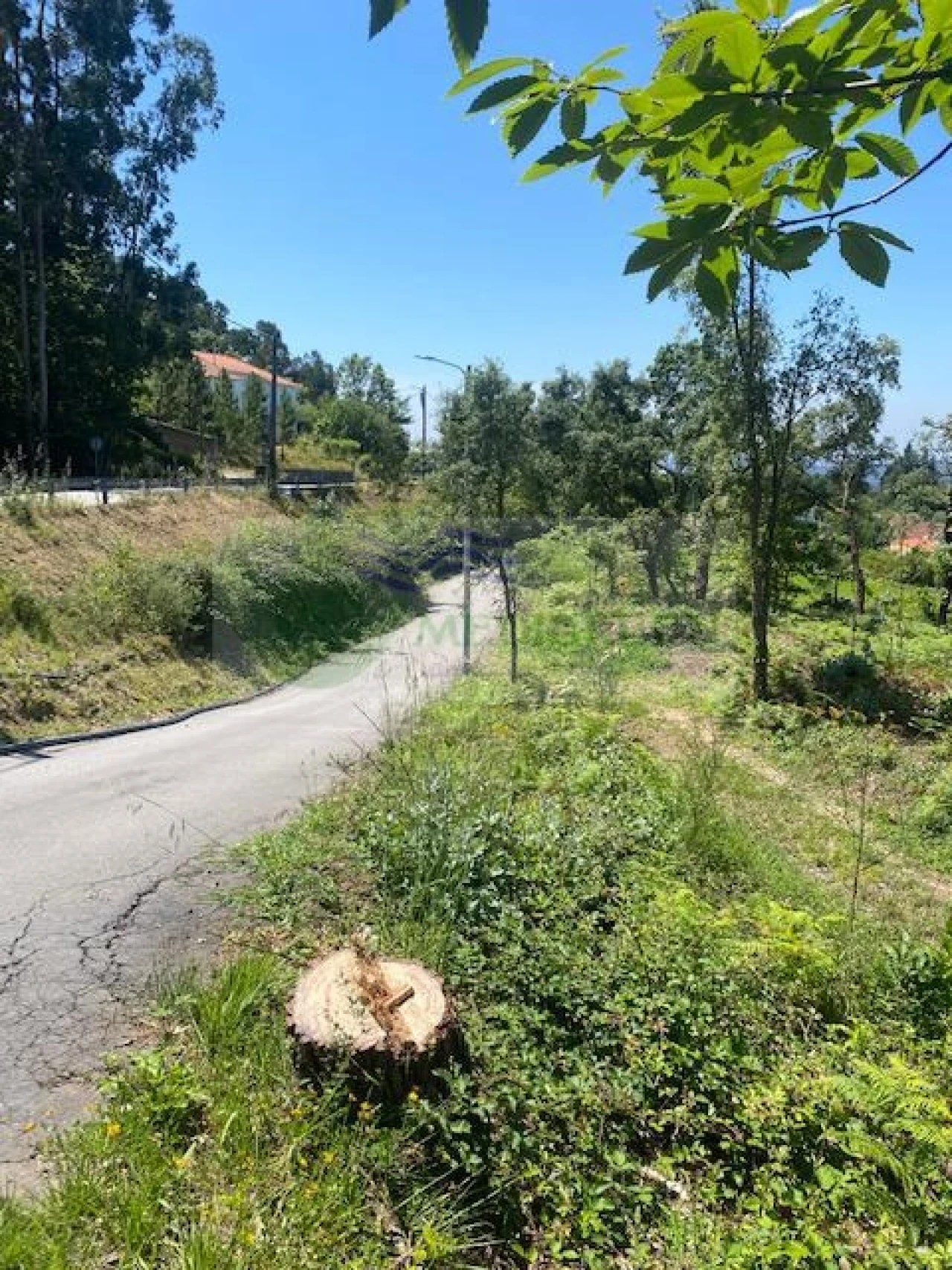 Terreno para Venda em Silva Escura e Dornelas Foto 1