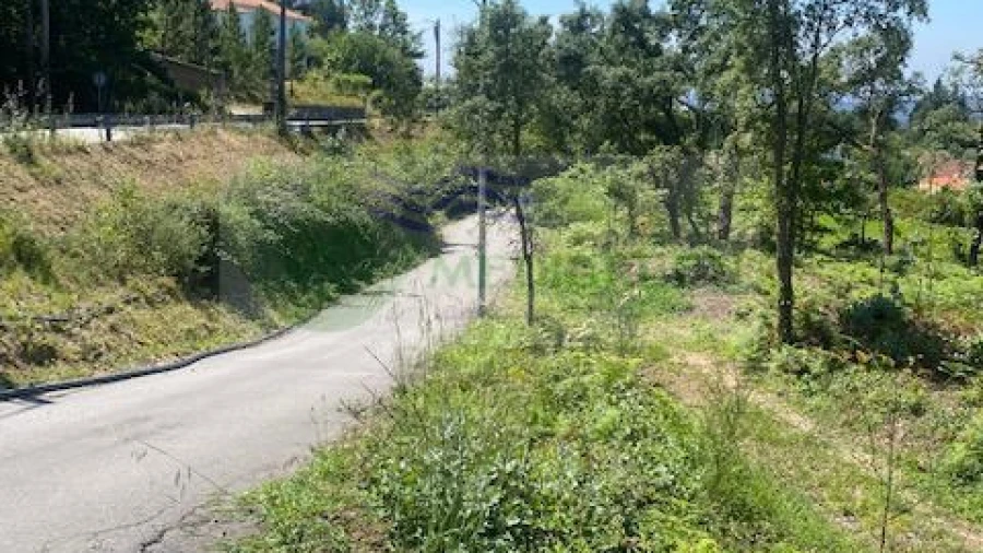 Terreno para Venda em Silva Escura e Dornelas