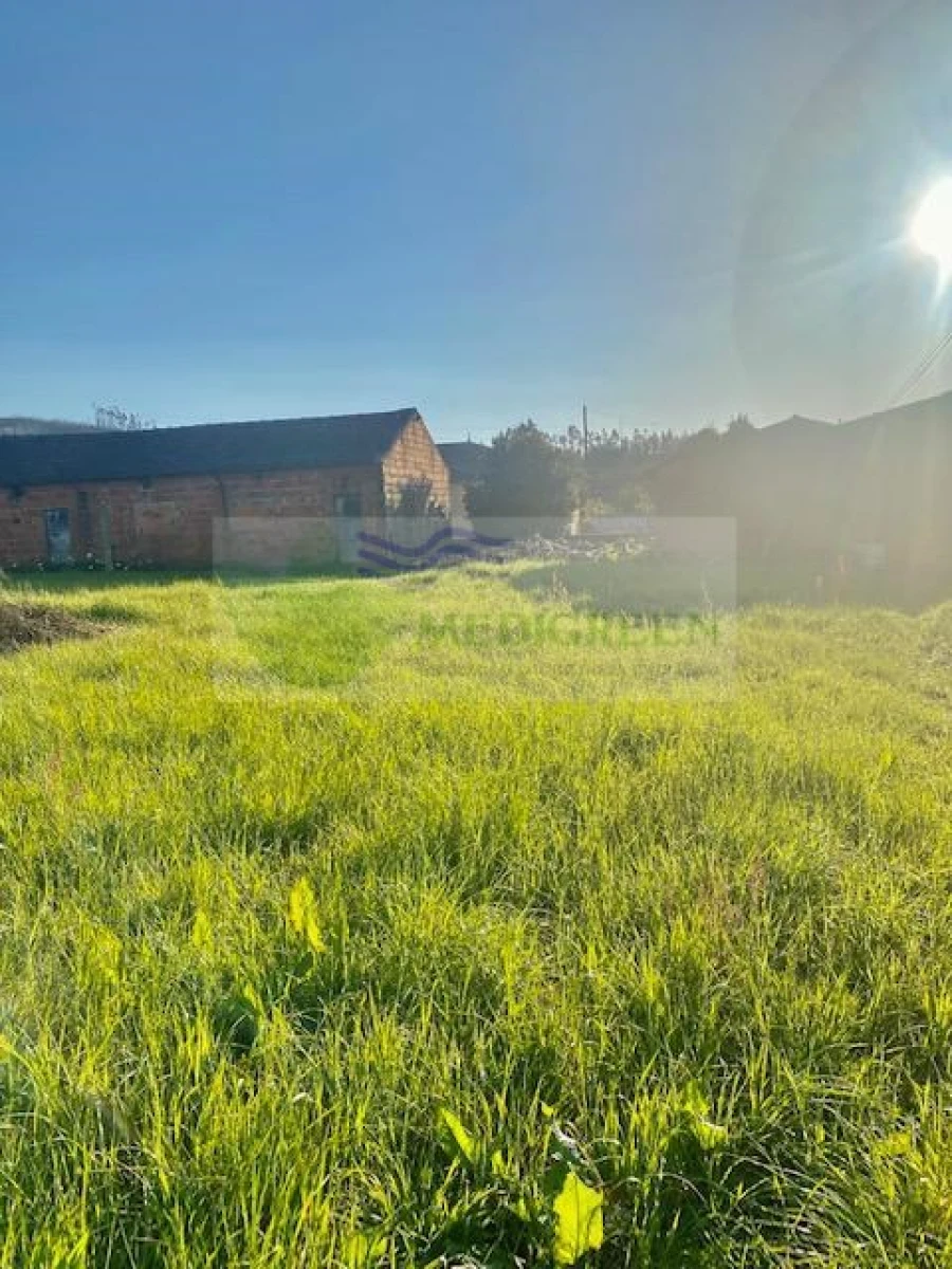 Terreno para Venda em Cedrim e Paradela Foto 6