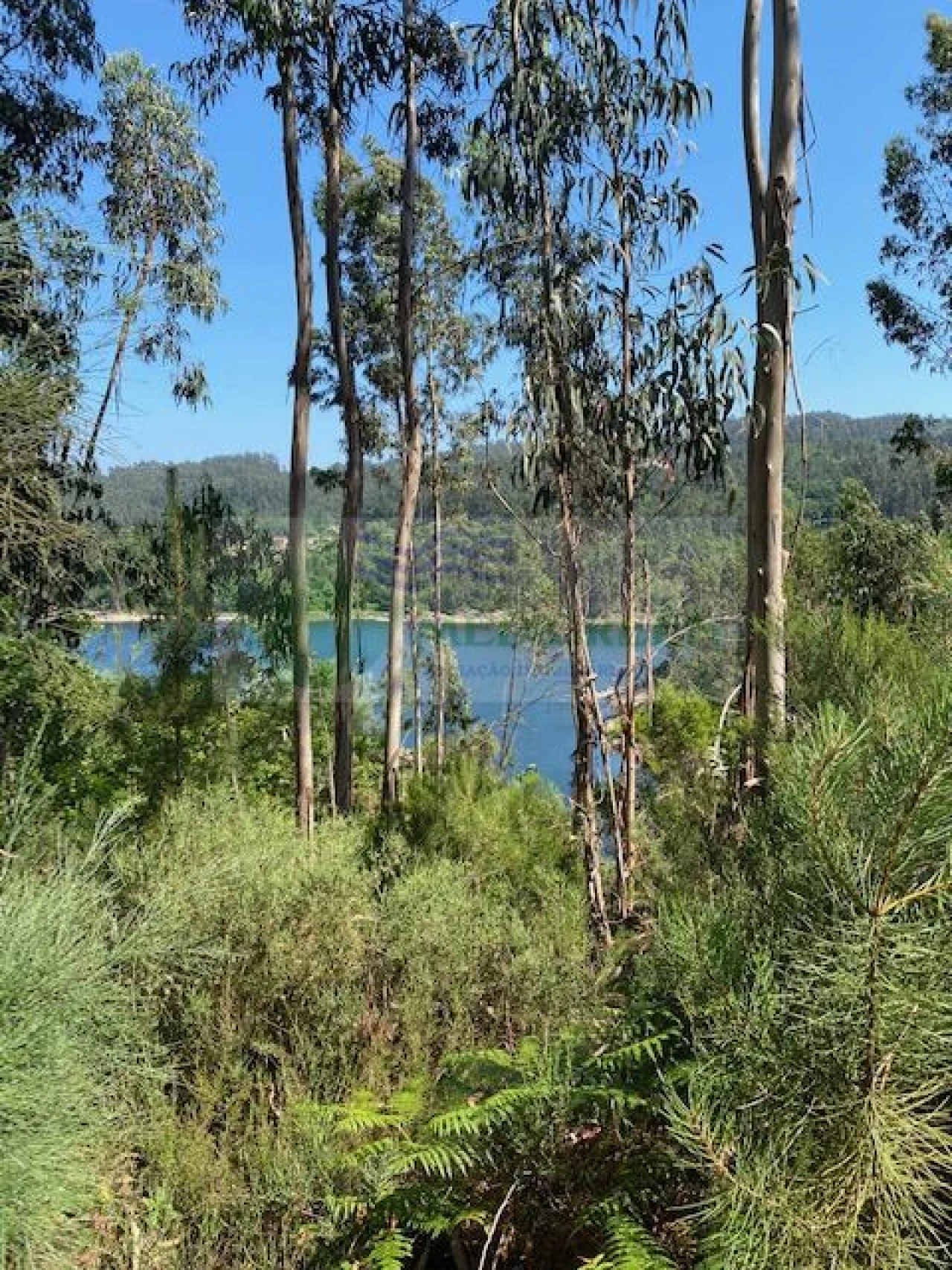 Terreno para Venda em Couto de Esteves Foto 4