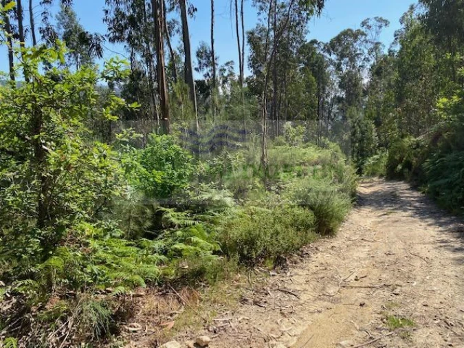 Terreno para Venda em Couto de Esteves Foto 3