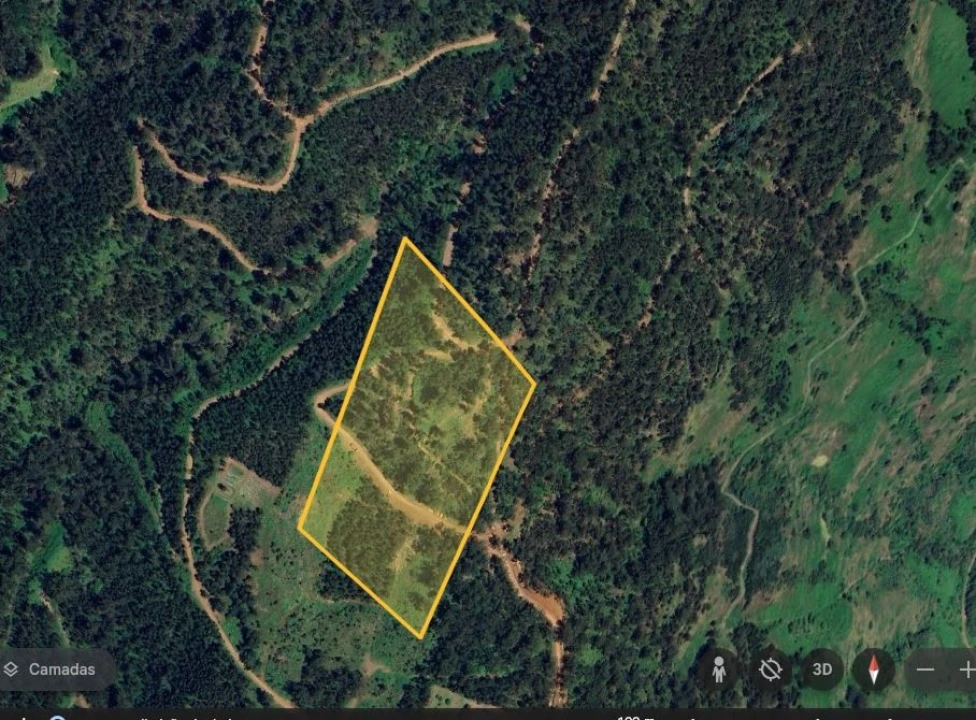 Terreno para Venda em Ponta do Sol Foto 15