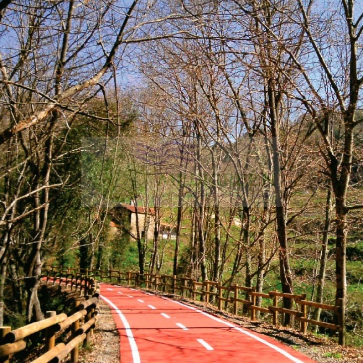 Terreno para Venda em Pessegueiro do Vouga Foto 4