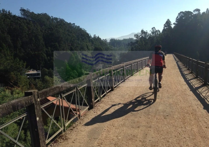Terreno para Venda em Pessegueiro do Vouga Foto 6