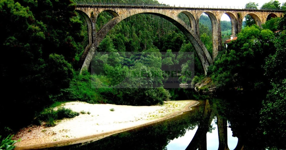 Terreno para Venda em Pessegueiro do Vouga Foto 7