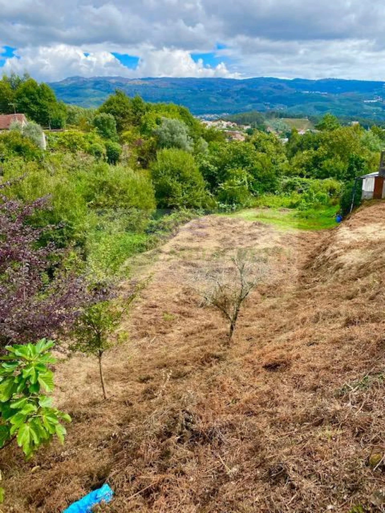 Terreno para Venda em Sever do Vouga Foto 1