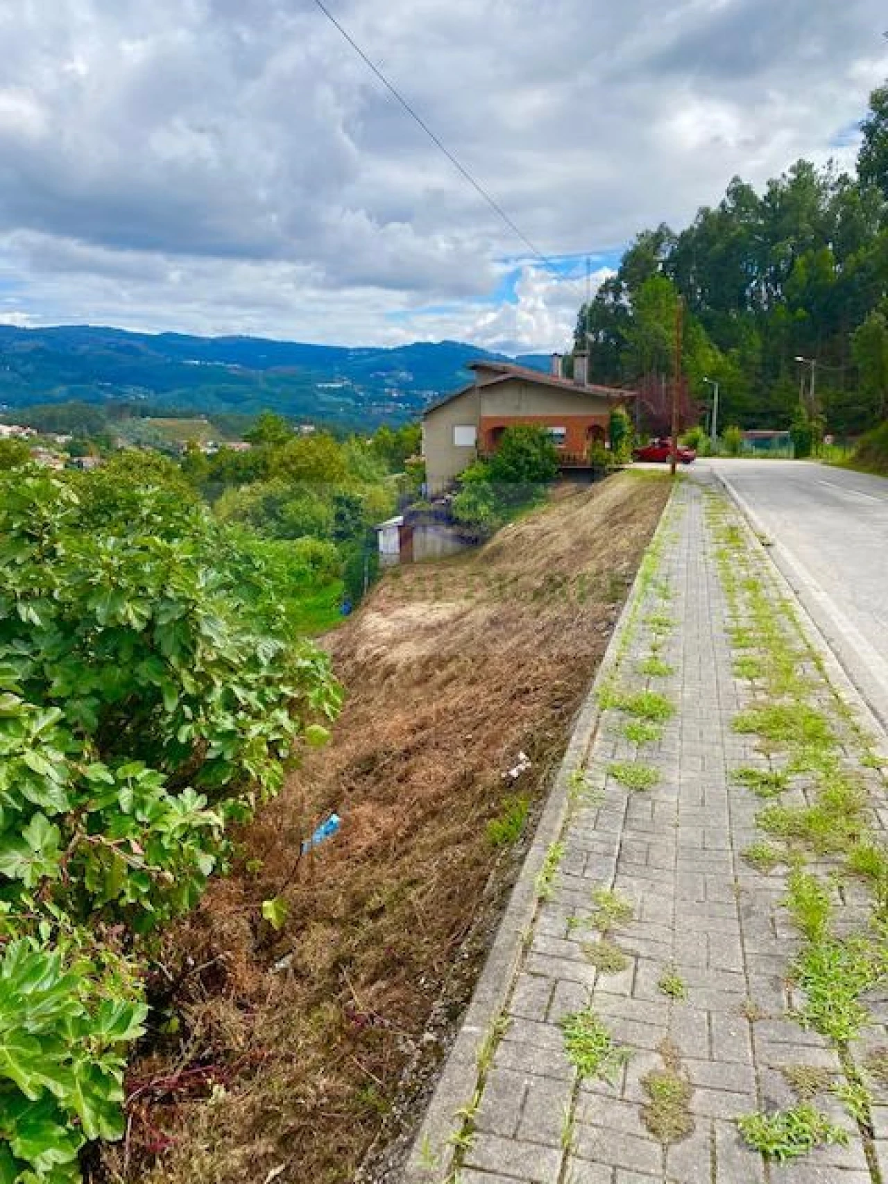 Terreno para Venda em Sever do Vouga Foto 2