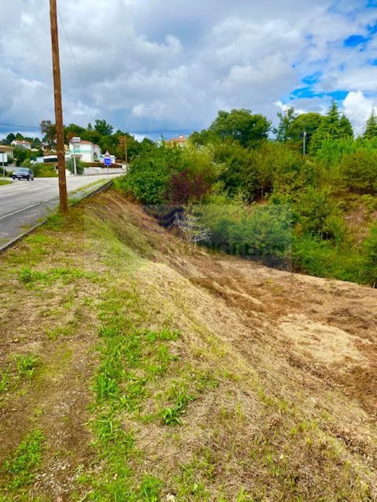 Terreno para Venda em Sever do Vouga Foto 5