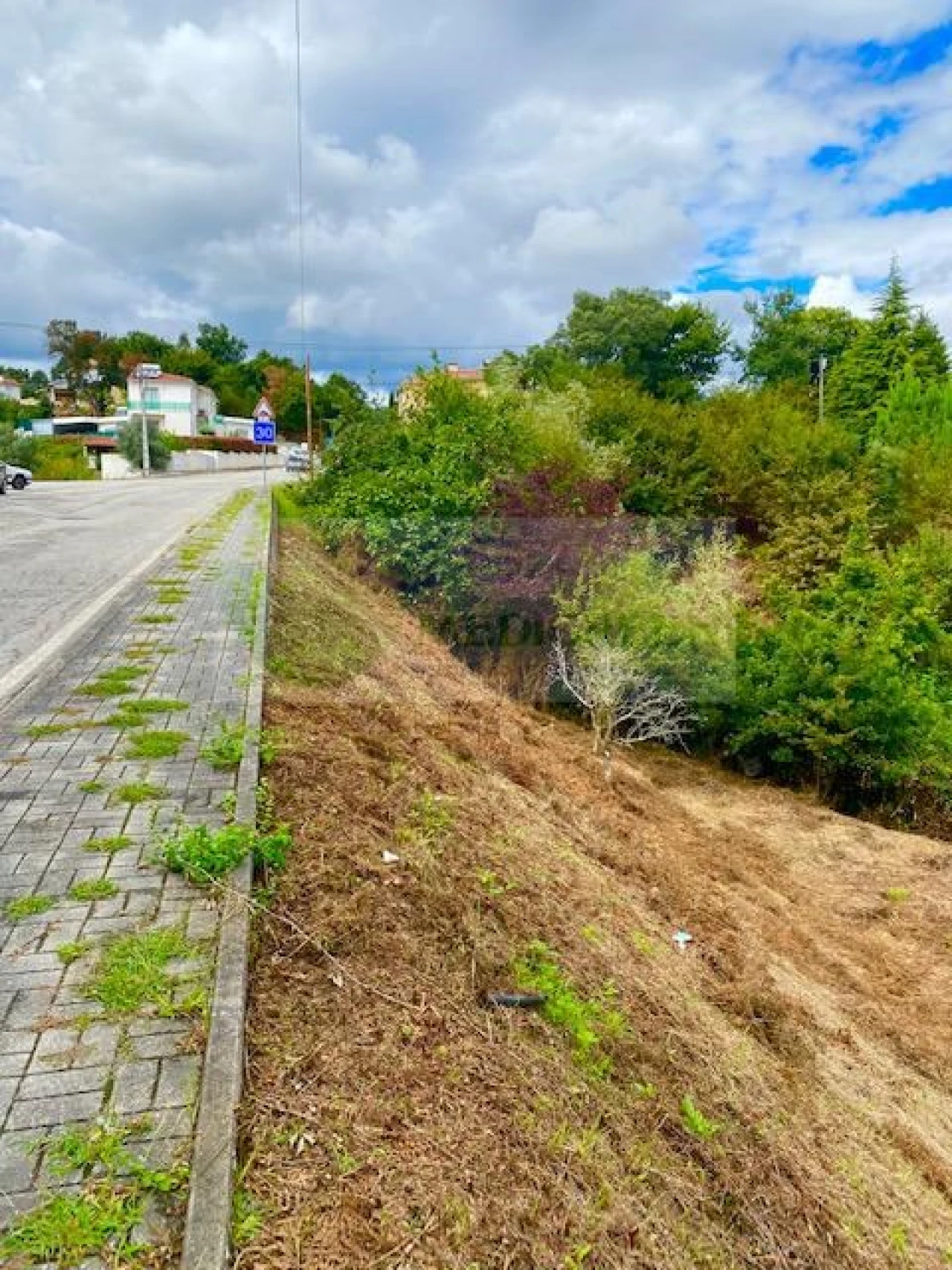 Terreno para Venda em Sever do Vouga Foto 6