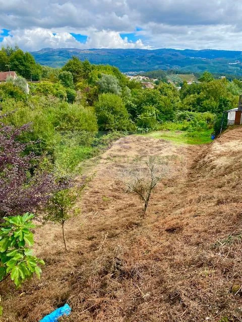 Terreno para Venda em Sever do Vouga