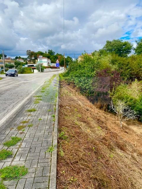 Terreno para Venda em Sever do Vouga