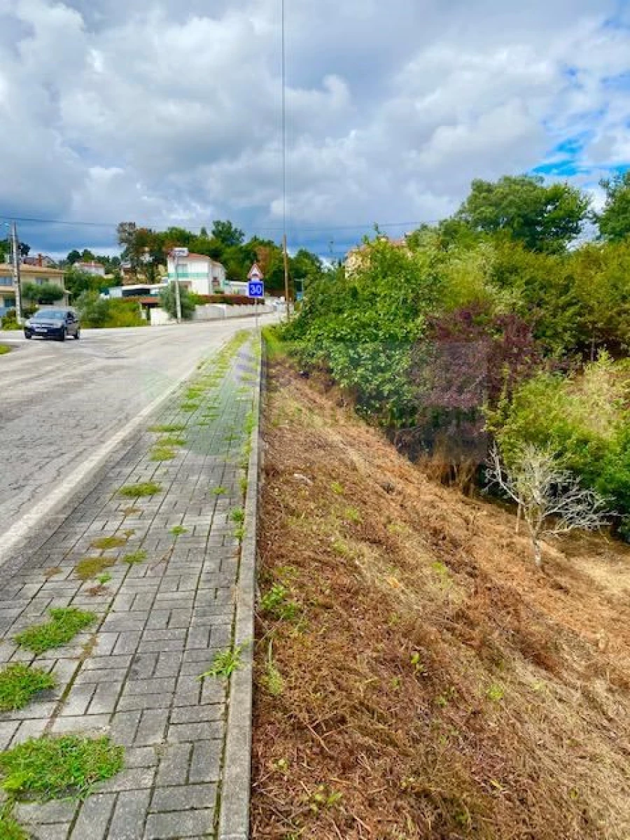 Terreno para Venda em Sever do Vouga Foto 4
