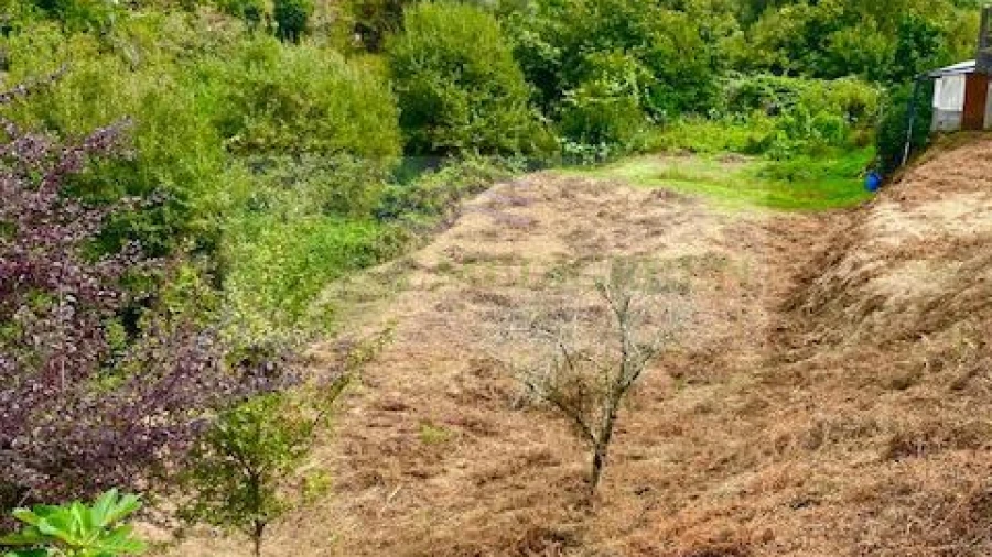 Terreno para Venda em Sever do Vouga