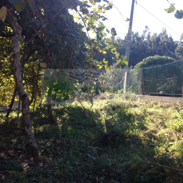 Terreno para Venda em Silva Escura e Dornelas Foto 6