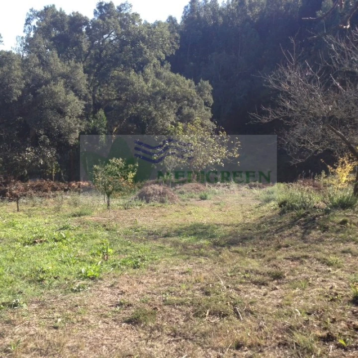 Terreno para Venda em Silva Escura e Dornelas Foto 8