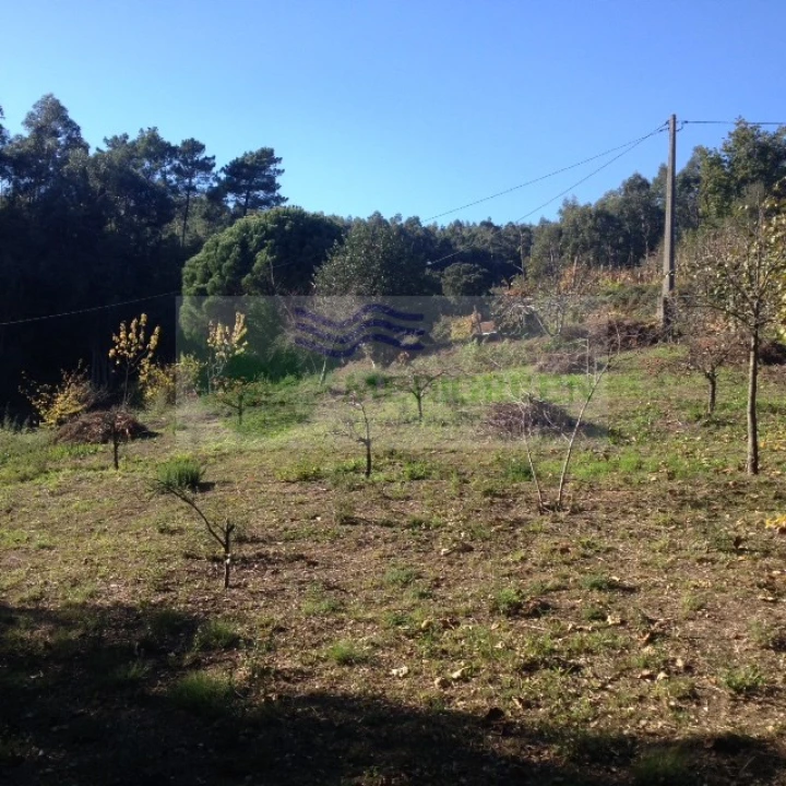 Terreno para Venda em Silva Escura e Dornelas Foto 9