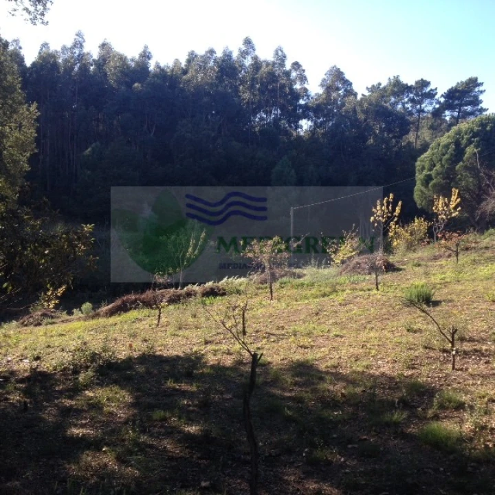 Terreno para Venda em Silva Escura e Dornelas Foto 10