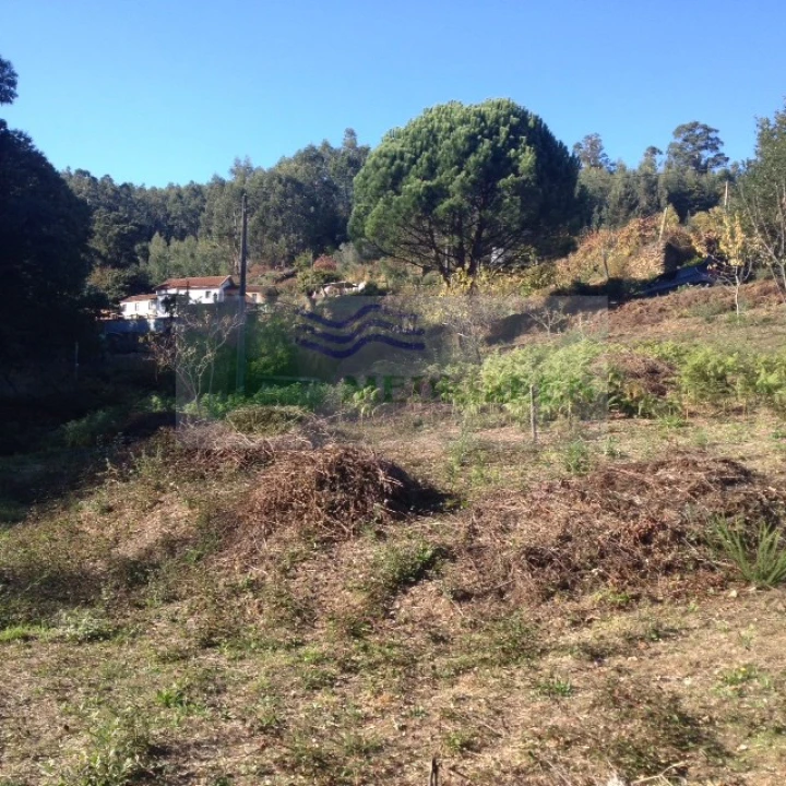 Terreno para Venda em Silva Escura e Dornelas Foto 11