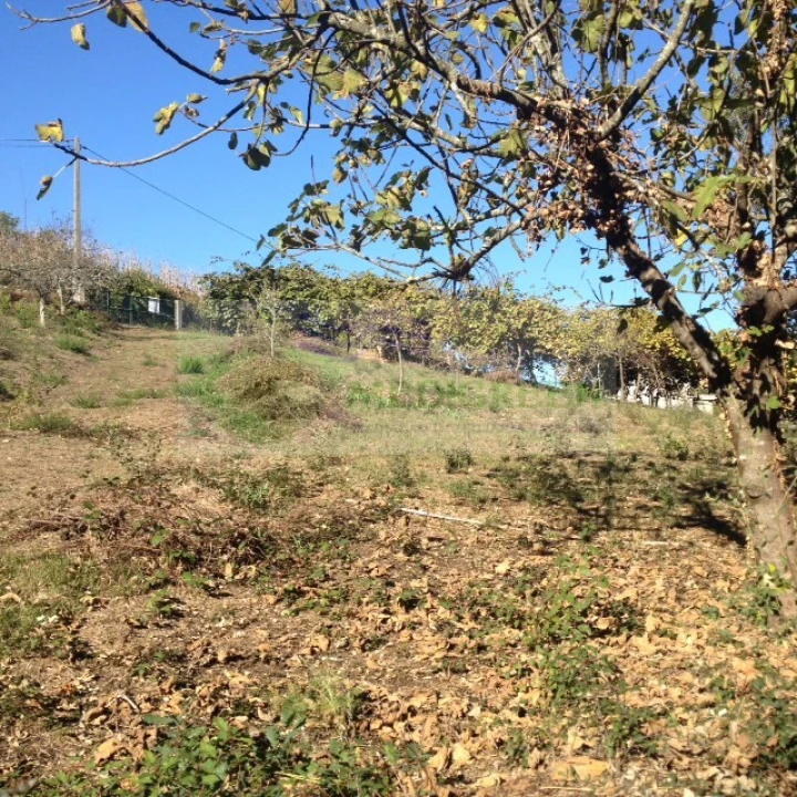 Terreno para Venda em Silva Escura e Dornelas Foto 12