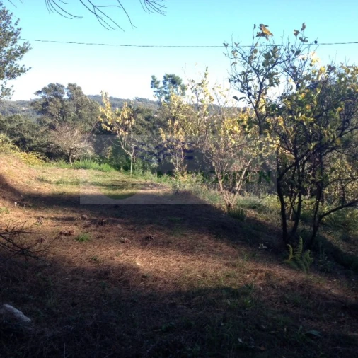 Terreno para Venda em Silva Escura e Dornelas Foto 15