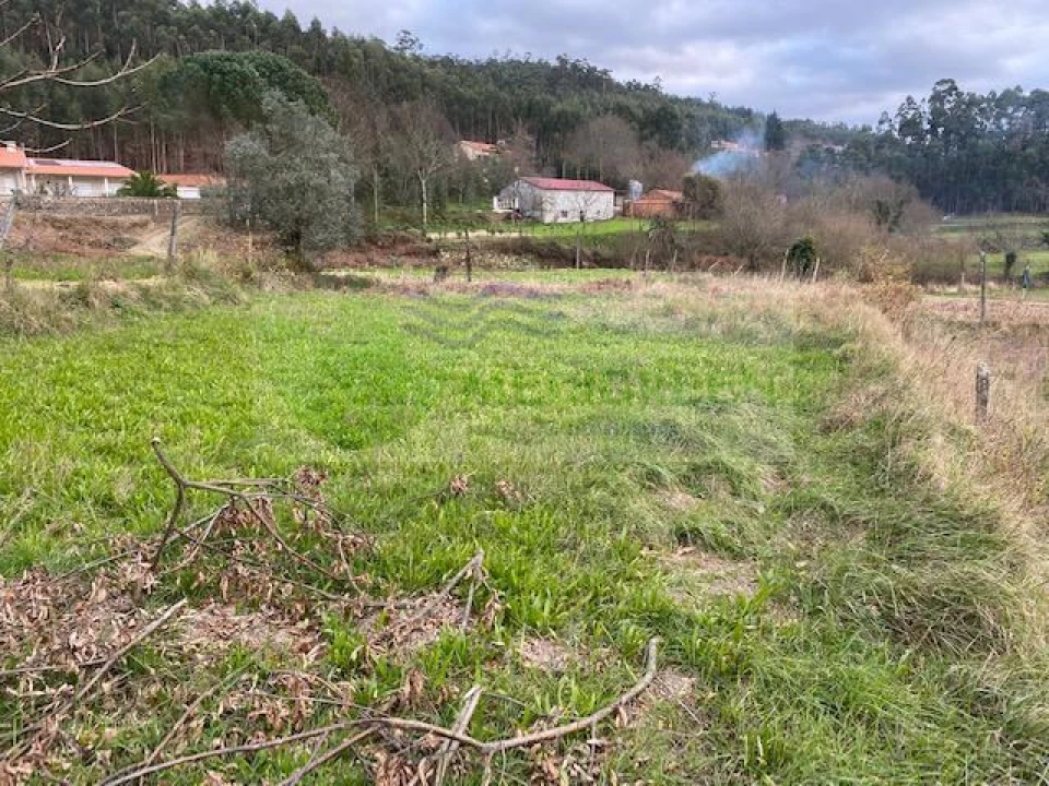 Terreno para Venda em Silva Escura e Dornelas Foto 5