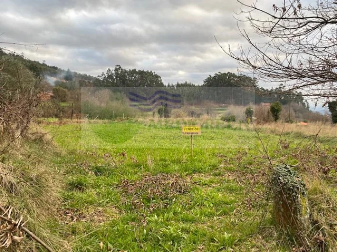Terreno para Venda em Silva Escura e Dornelas Foto 2