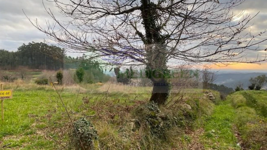 Terreno para Venda em Silva Escura e Dornelas