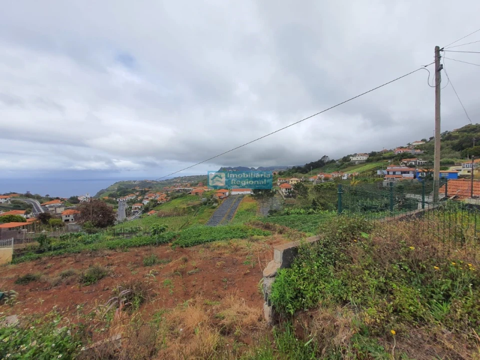 Terreno para Venda em São Jorge Foto 4