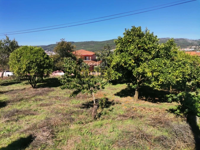 Terreno para Venda em Mogege Foto 2