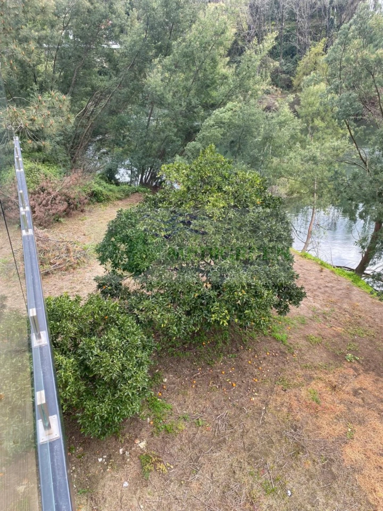 Moradia T2 para Venda em Pessegueiro do Vouga Foto 27