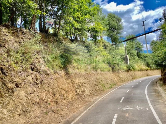 Terreno para Venda em Cedrim e Paradela Foto 2