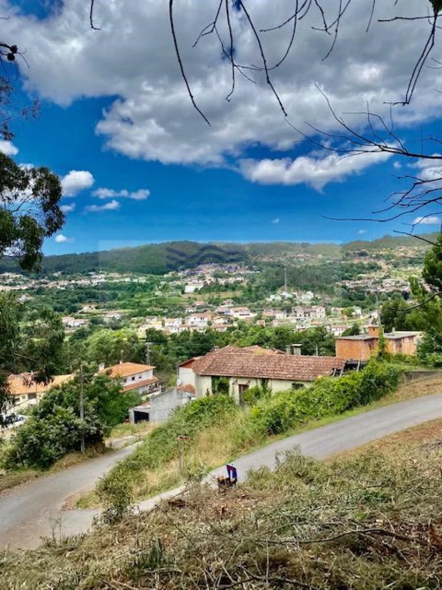 Terreno para Venda em Cedrim e Paradela Foto 4