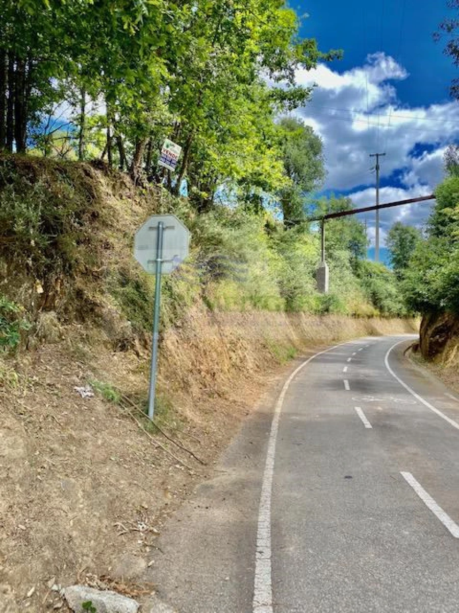 Terreno para Venda em Cedrim e Paradela Foto 5