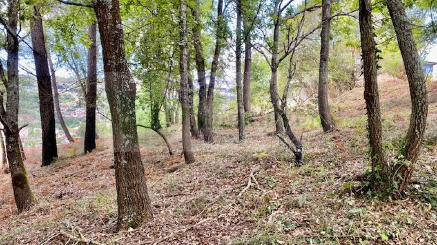 Terreno para Venda em Cedrim e Paradela