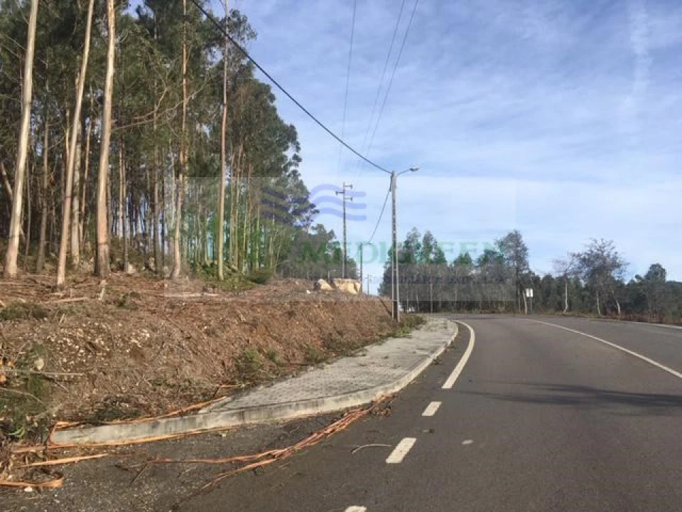 Terreno para Venda em Talhadas Foto 1