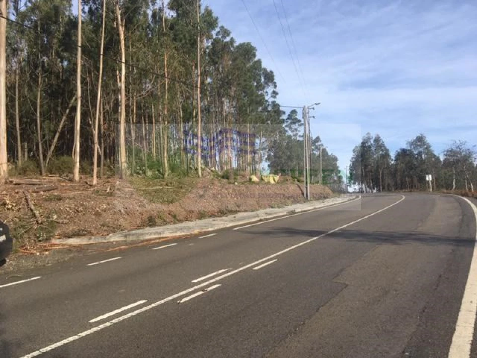 Terreno para Venda em Talhadas Foto 2