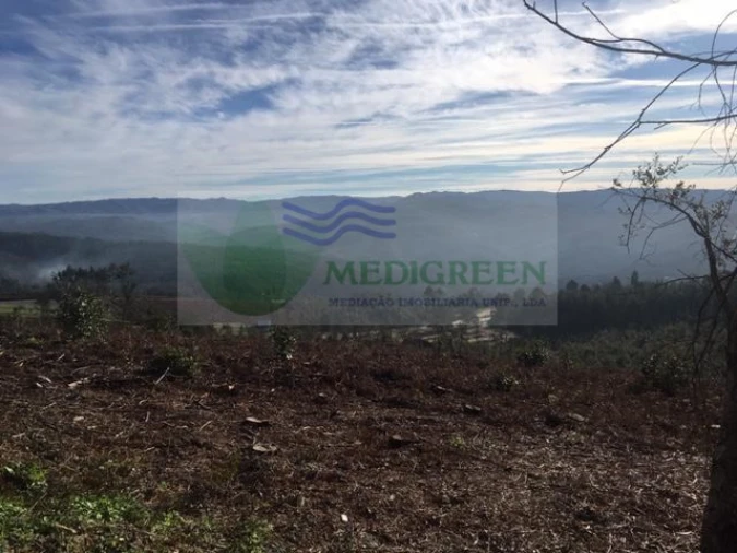 Terreno para Venda em Talhadas Foto 3