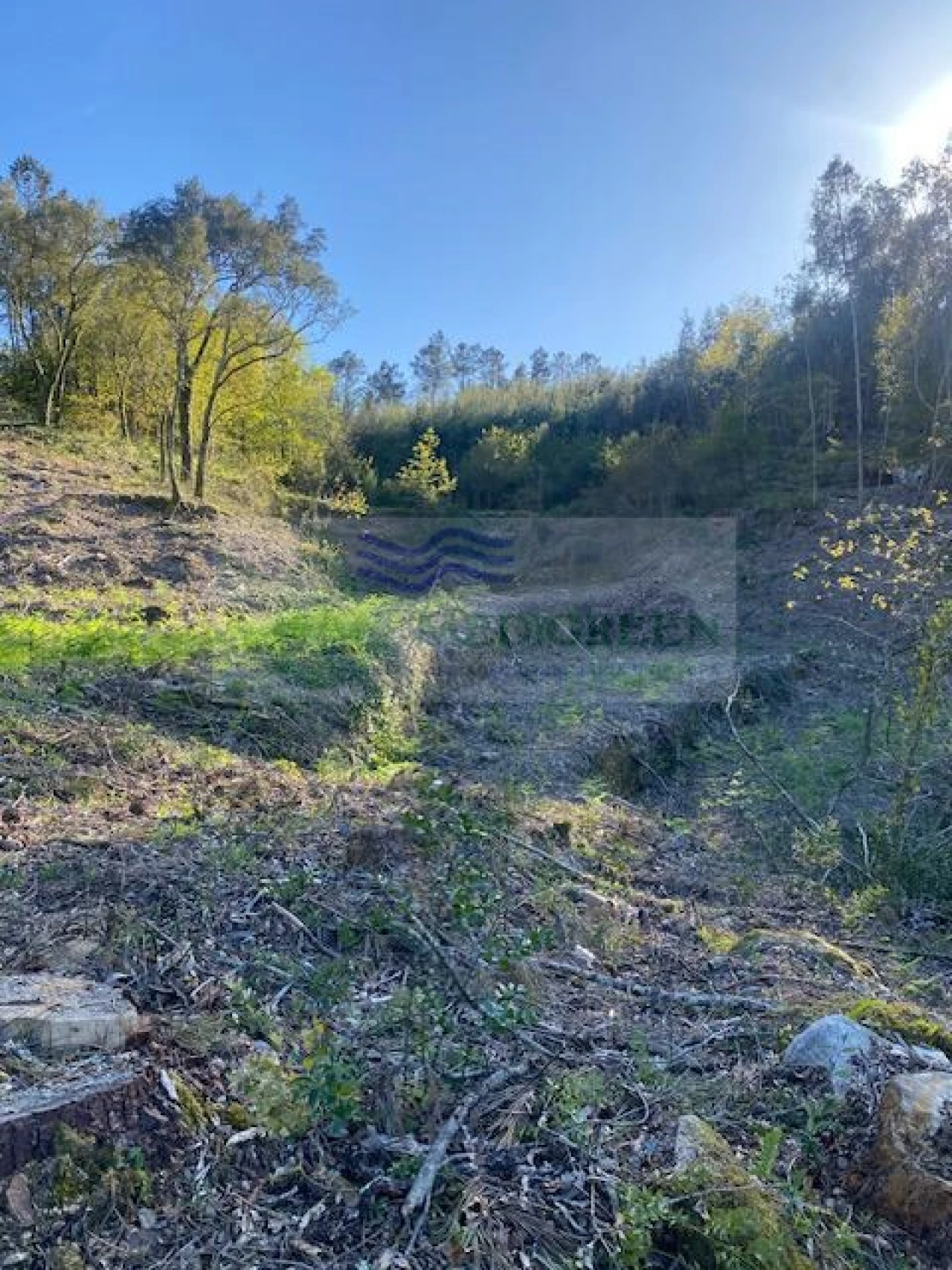Terreno para Venda em Arcozelo das Maias Foto 10