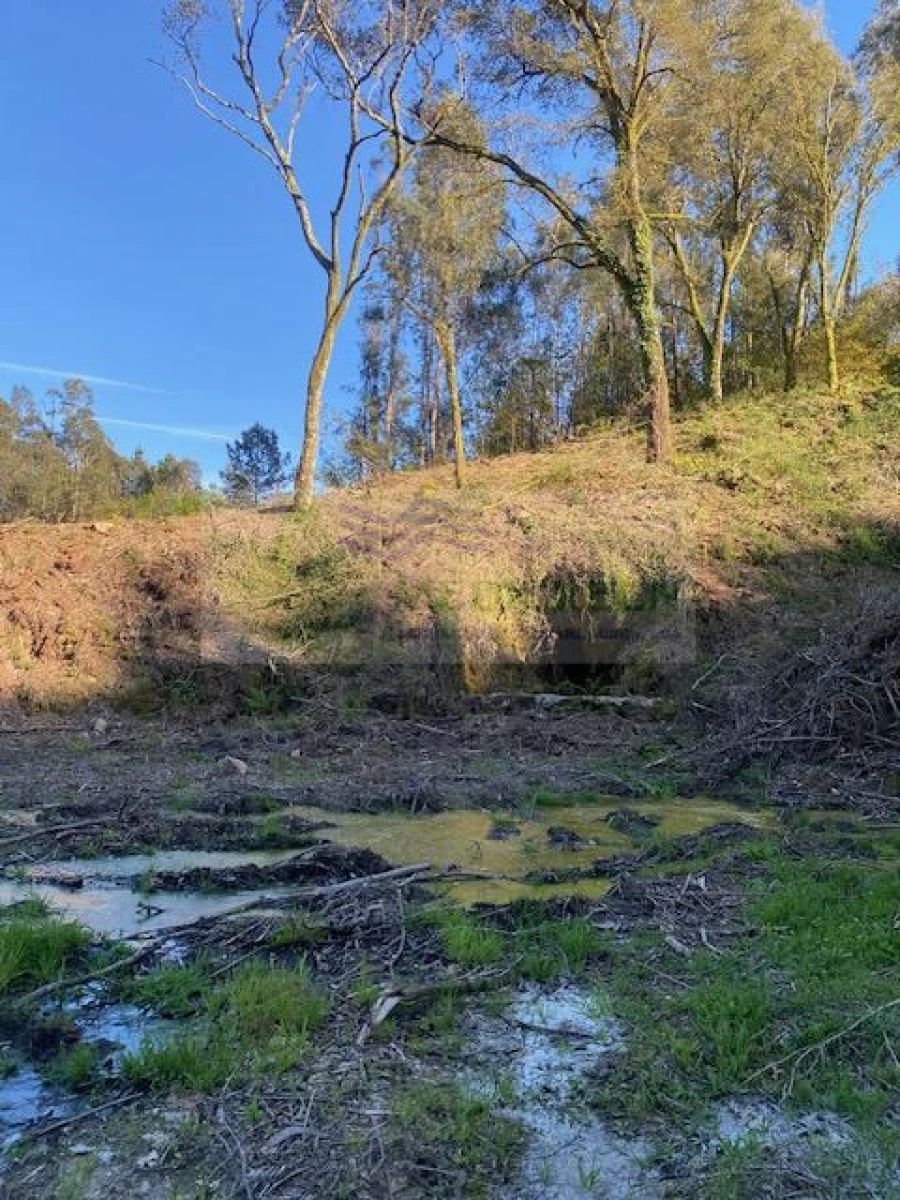 Terreno para Venda em Arcozelo das Maias Foto 12