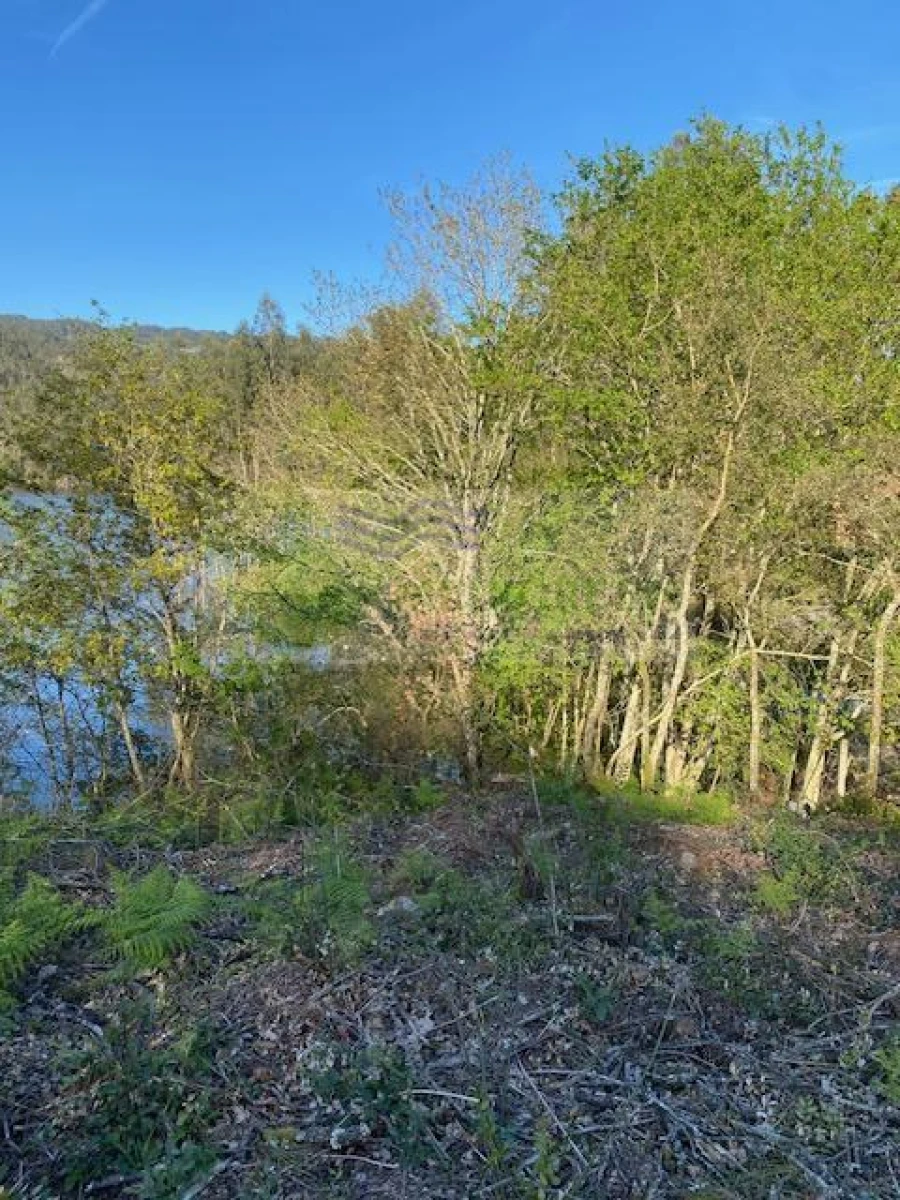 Terreno para Venda em Arcozelo das Maias Foto 13