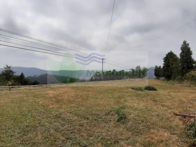 Terreno para Venda em Silva Escura e Dornelas