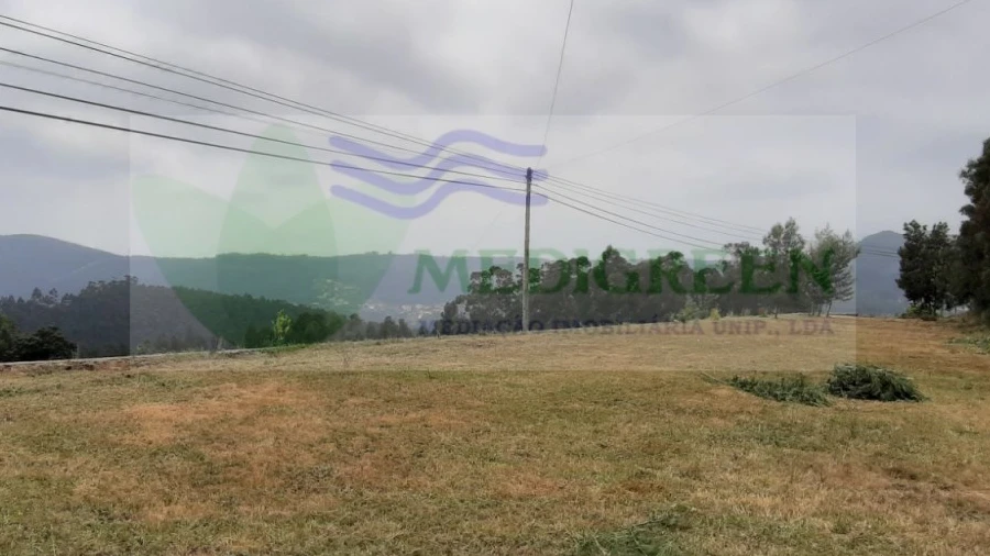 Terreno para Venda em Silva Escura e Dornelas