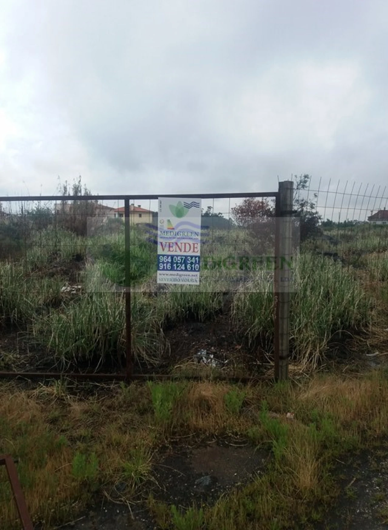Terreno para Venda em Branca Foto 2