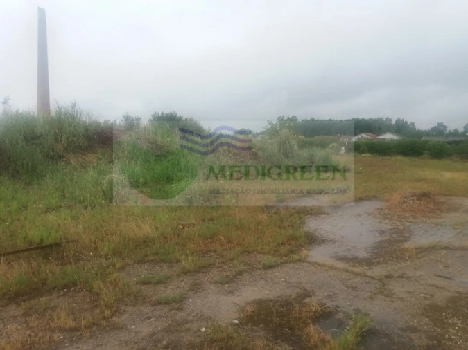 Terreno para Venda em Branca Foto 3