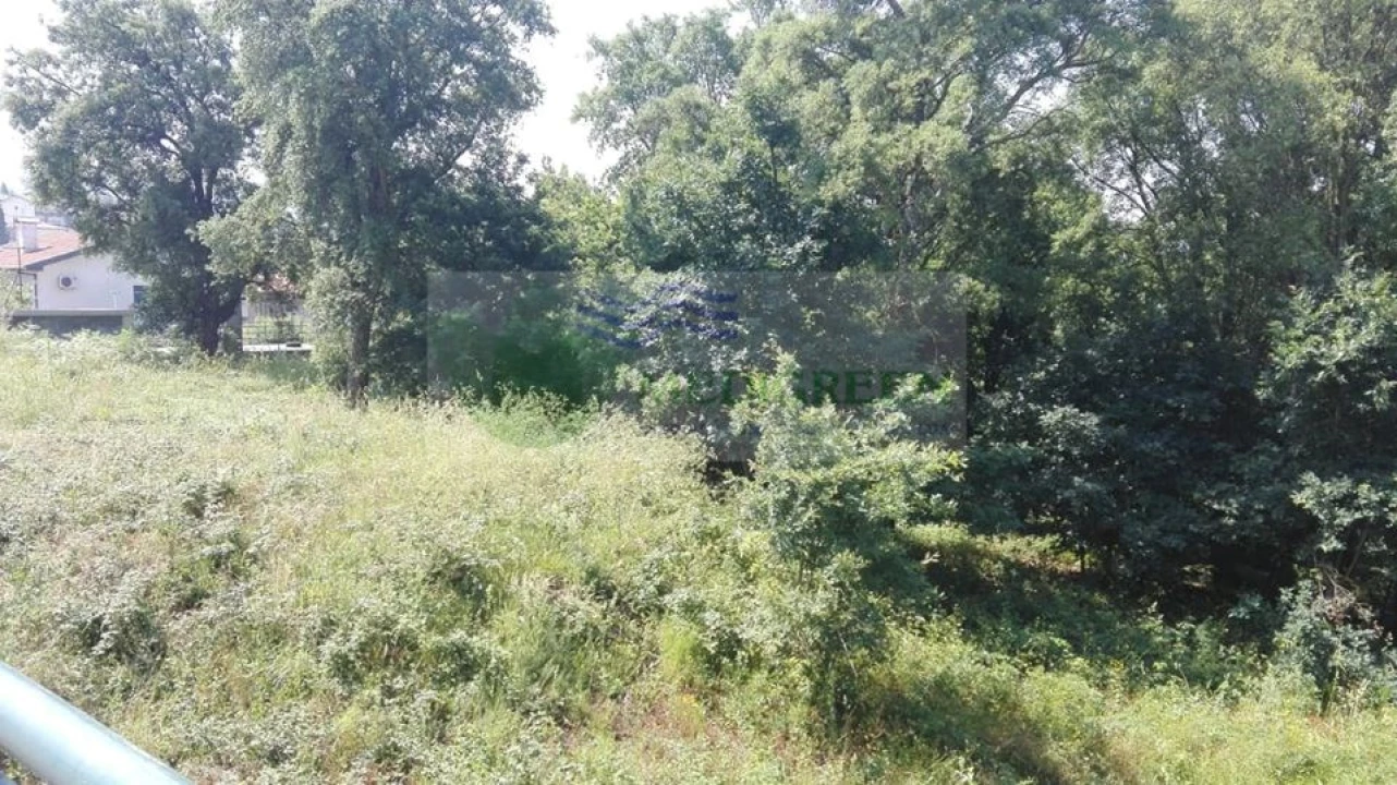 Terreno para Venda em Macieira de Cambra Foto 4