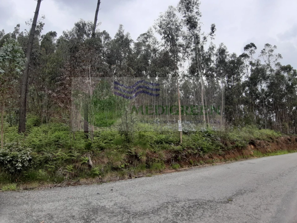 Terreno para Venda em Sever do Vouga Foto 3