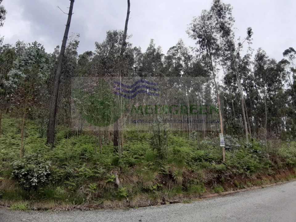 Terreno para Venda em Sever do Vouga Foto 4