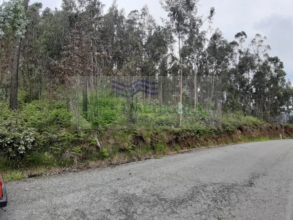 Terreno para Venda em Sever do Vouga Foto 5